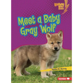 Meet a Baby Gray Wolf