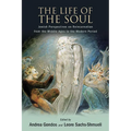 The Life of the Soul: Jewish Perspectives on Reincarnation from the Middle Ages to the Modern Period