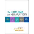 The Human Brain and Neuroplasticity