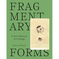 Fragmentary Forms: A New History of Collage