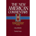 Galatians: An Exegetical and Theological Exposition of Holy Scripture Volume 30