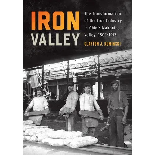 Iron Valley: The Transformation of the Iron Industry in Ohio's Mahoning Valley, 1802-1913