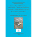 Bronze Age Field System at Tower's Fen, Thorney, Peterborough: Excavations at 'Thorney Borrow Pit' 2004-2005