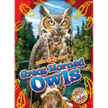 Great Horned Owls