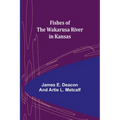 Fishes of the Wakarusa River in Kansas
