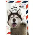 Sherpa, A Letter From Paris