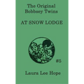 The Bobbsey Twins at Snow Lodge