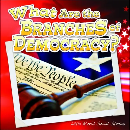 What Are the Branches of Government?