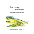 What Do You REALLY Want?: The Self's Search For Itself