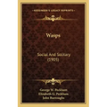 Wasps: Social and Solitary (1905)