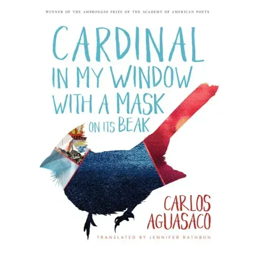 Cardinal in My Window with a Mask on Its Beak