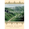 An Unexpected Light: Travels in Afghanistan