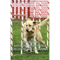 Labradors - History, Breeding, Field Trials & Shows