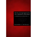 Seven Congregations in a Roman Crucible
