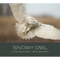 Snowy Owl: A Visual Natural History