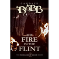 The Fire in the Flint: The Margaret Kerr Series - Book Two