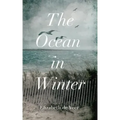 The Ocean in Winter