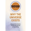 Why the Universe Exists
