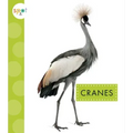 Cranes