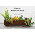 How to Window Box: Small-Space Plants to Grow Indoors or Out