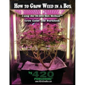 How to Grow Weed in a Box Using the Hi-Dro Box Method: Grow Guide and Workbook