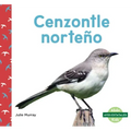 Cenzontle Norteño (Northern Mockingbirds)