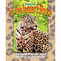 In the Jaguar's House