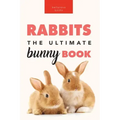 Rabbits: 100+ Amazing Rabbit Facts, Photos, Species Guide & More