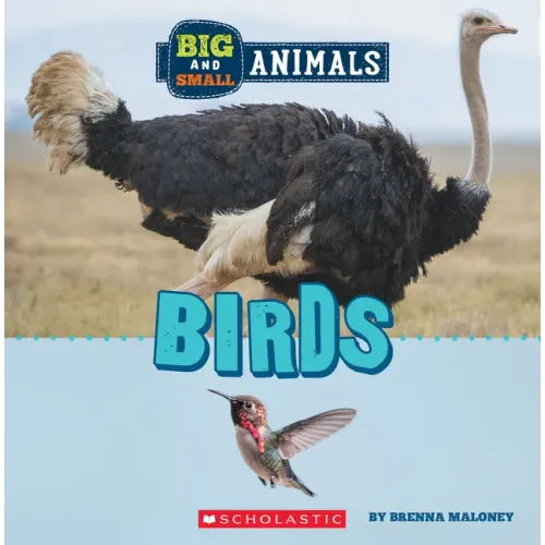 Birds (Wild World: Big and Small Animals)