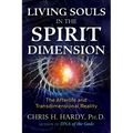 Living Souls in the Spirit Dimension: The Afterlife and Transdimensional Reality