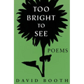 Too Bright to See