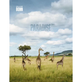 Paradise Inc.