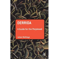 Derrida: A Guide for the Perplexed