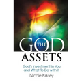 The God Assets: God's Investment in You and What to do With It