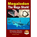 Megalodon - The Mega Shark!