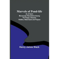 Marvels of Pond-life; Or, A Year's Microscopic Recreations Among the Polyps, Infusoria, Rotifers, Water-bears and Polyzoa