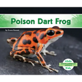 Poison Dart Frog
