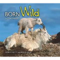 Born Wild in Colorado