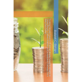 Scaling Climate Finance: A Global Climate Solutions Insight on Green Bonds, Carbon Markets, and Investment Pathways for a Net-Zero Future