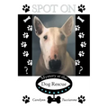 Spot On: Mystery at the Dog Rescue