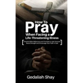 How to Pray When Facing a Life-Threatening Illness: Powerful Bible Reflections and Promises to Heal Sickness, Boost Strength and Encourage Your Faith