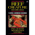 Reef Creature Identification: Florida Caribbean Bahamas