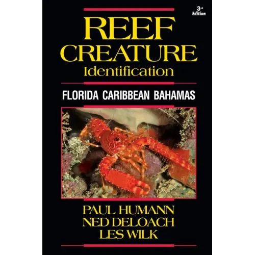 Reef Creature Identification: Florida Caribbean Bahamas