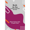 Beside the Fire: A collection of Irish Gaelic folk stories
