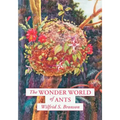 The Wonder World of Ants