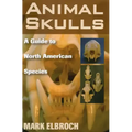 Animal Skulls: A Guide to North American Species
