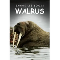 Walrus - Sandie Lee Books