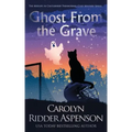 Ghost from the Grave: A Midlife in Castleberry Paranormal Cozy Mystery