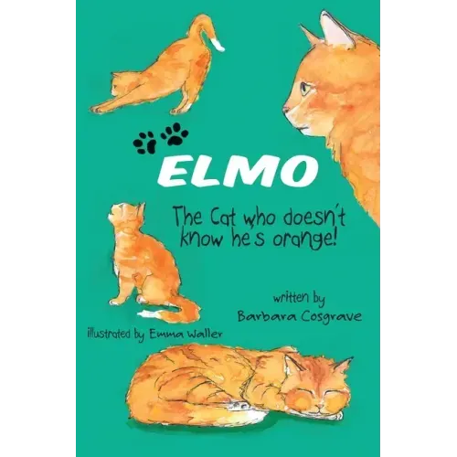 ELMO The Cat who doesn't know he's orange!