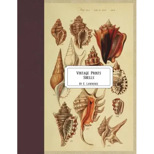 Vintage Prints: Shells